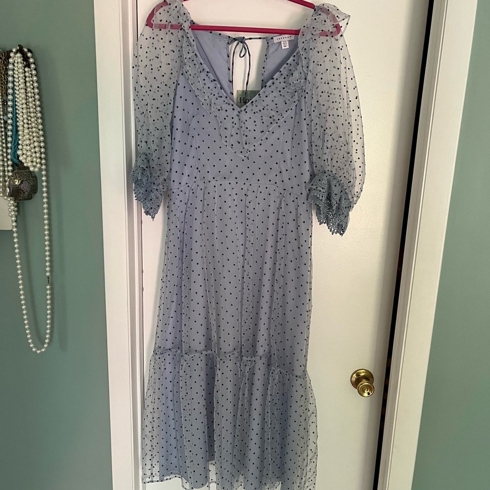 Brand NEW without tags…Top Shop tulle & diaphanous dress 👗! 💕
